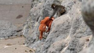 4664088 gettyimages 2262116703