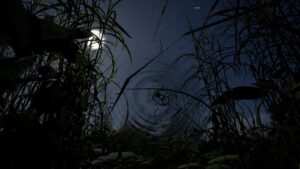 whispers of the tallgrass blogroll 1775600587080