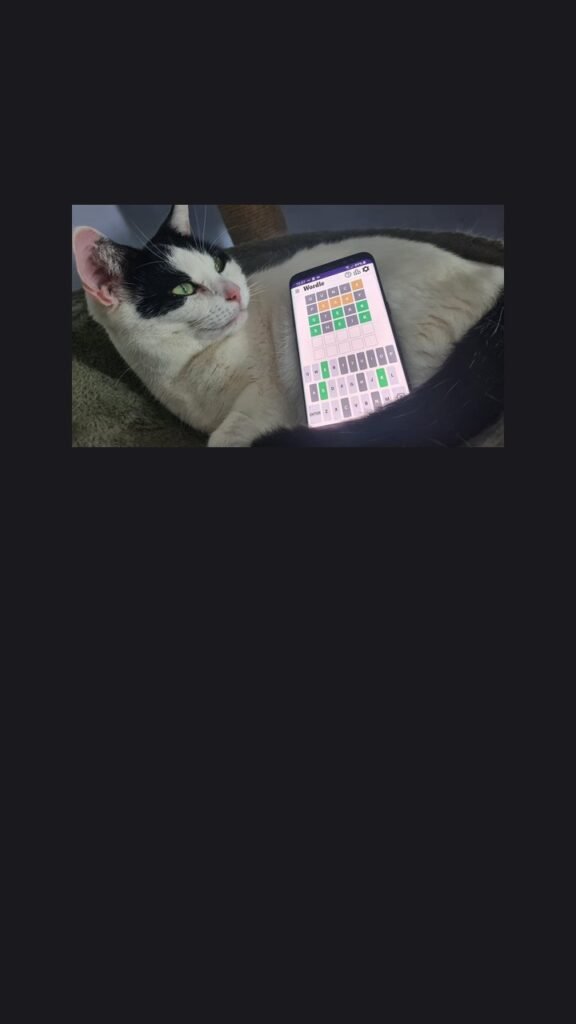 story vertical cc773cc1 1779409868
